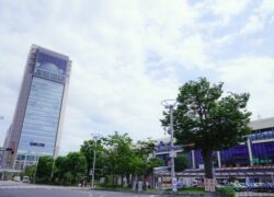2026年 福島県郡山市の標準価格